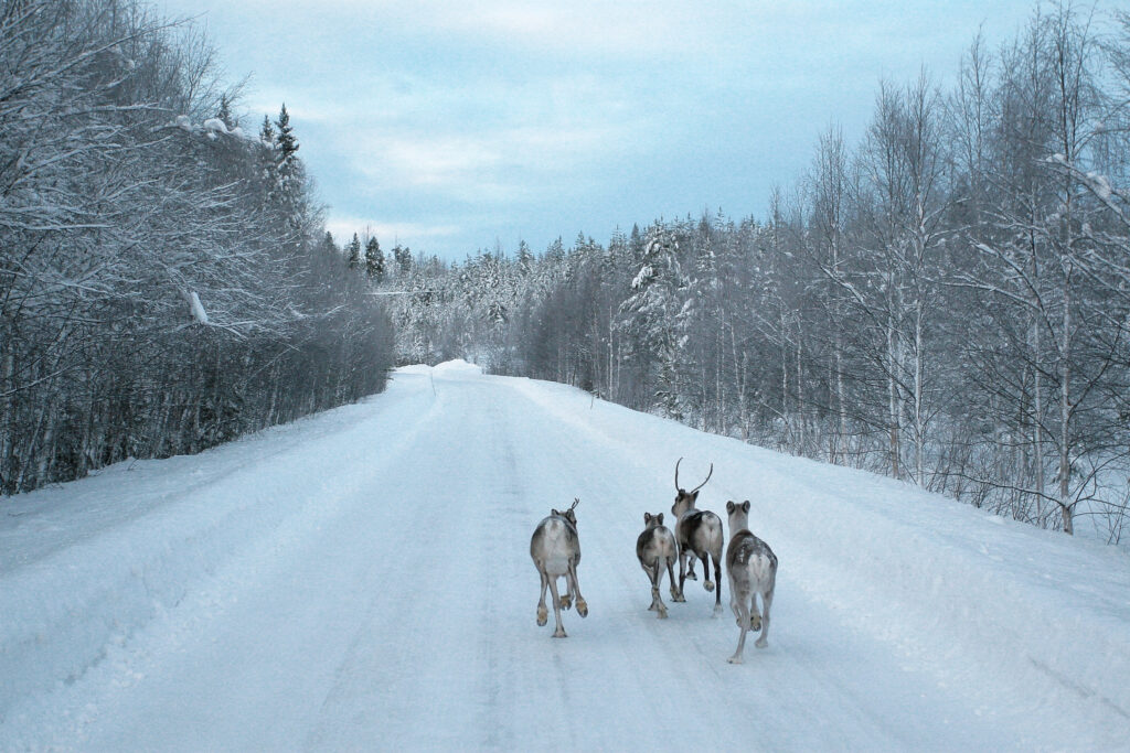 Polarkreisroute